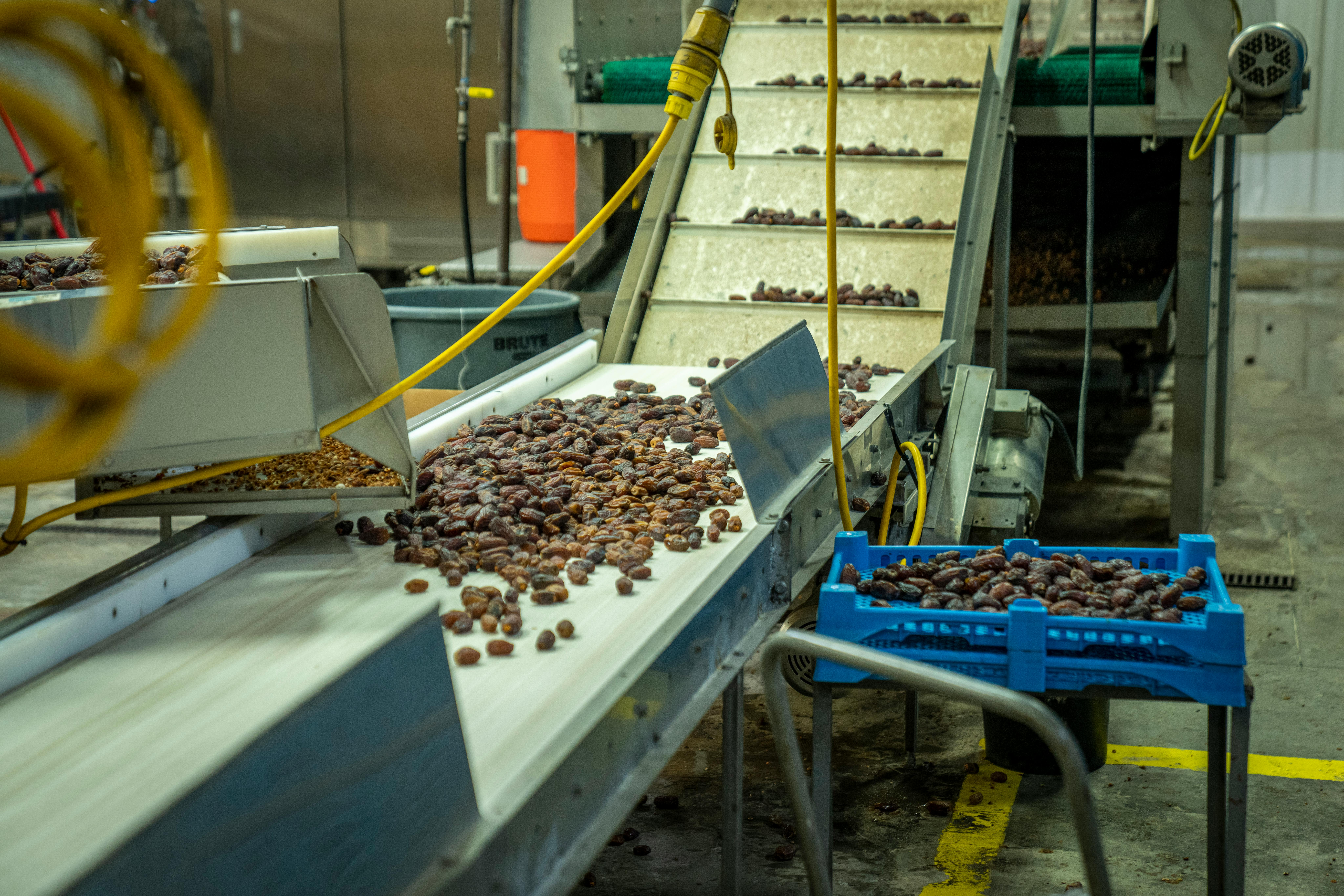 pexels photo 11679685 11679685 1